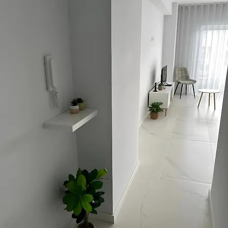 T2 Rocha Sol Apartment *